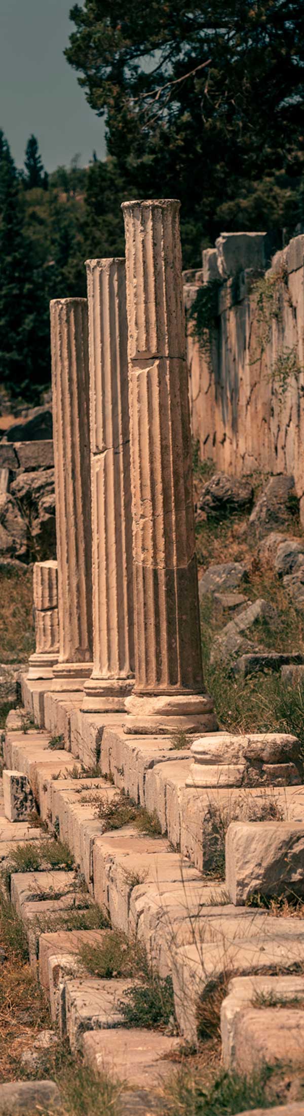 DELPHI
